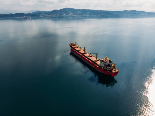 Black Sea Trade Desk